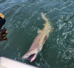 Kids love family fishing trips in Lewes DE!